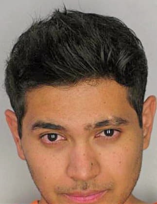 Mendoza Emilio - Hillsborough County, FL 
