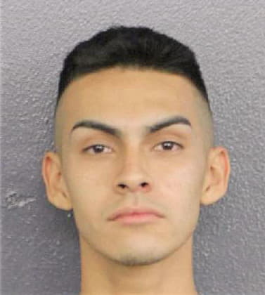 Hernandez Guillermo - Broward County, FL 