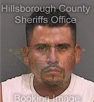 Hernandezluna Adelfo - Hillsborough County, FL 