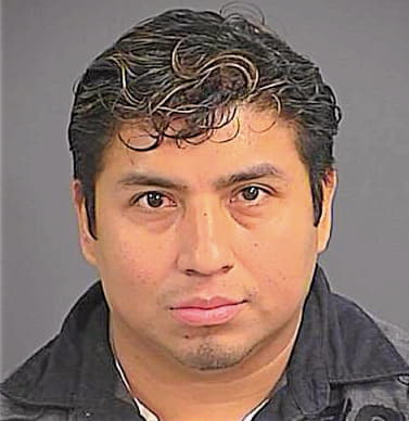 Hernandez-Alejo Armando - Charleston County, SC 