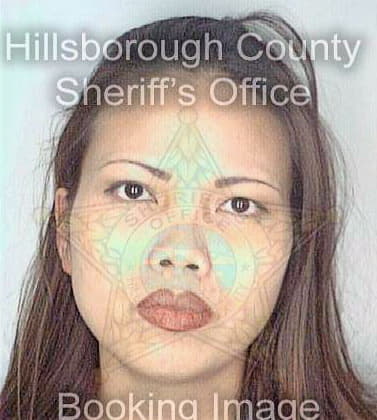 Nguyen Khanh - Hillsborough County, FL 