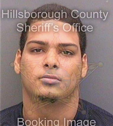 Gonzalezmarrero Hector - Hillsborough County, FL 