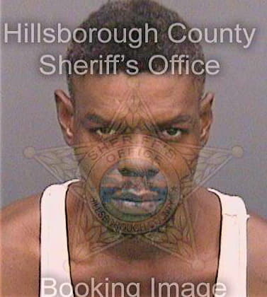 Mcduffie Alexander - Hillsborough County, FL 