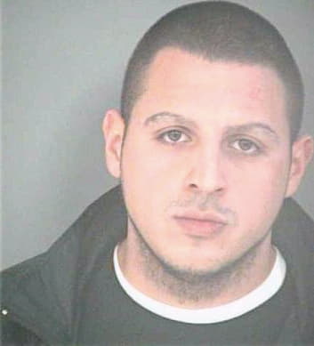 Mendez Michael - Hillsborough County, FL 