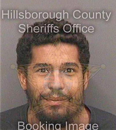 Colinaenriquez Jeance - Hillsborough County, FL 