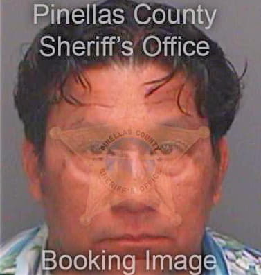 Flores Miguel - Pinellas County, FL 