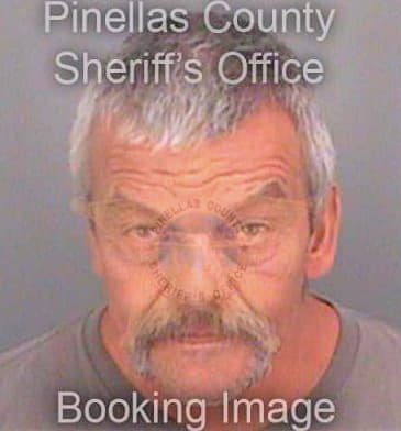 Simmons James - Pinellas County, FL 