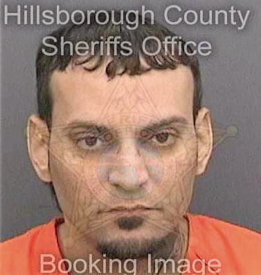 Martinez Alejandro - Hillsborough County, FL 