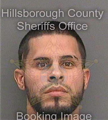 Medinapadilla George - Hillsborough County, FL 