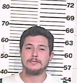 Ramirez Jose - Hidalgo County, TX 