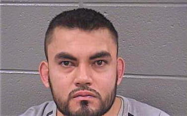 Soberanis Ricardo - Cook County, IL 