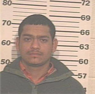 Hernandez Ulises - Hidalgo County, TX 