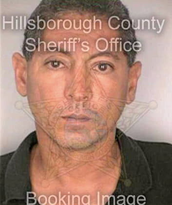 Lopezsuarez Carlos - Hillsborough County, FL 