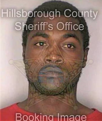 Bouyer Randy - Hillsborough County, FL 