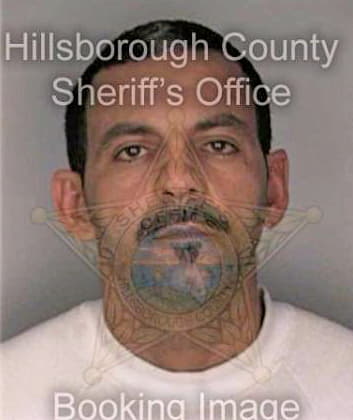 Lleo Hector - Hillsborough County, FL 