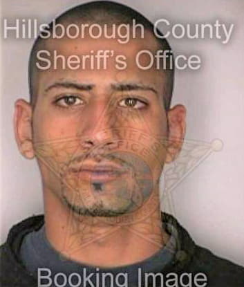 Diaz David - Hillsborough County, FL 