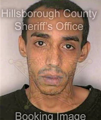 Rivera George - Hillsborough County, FL 