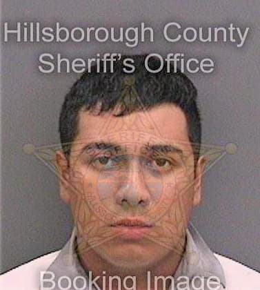 Sanchez Armando - Hillsborough County, FL 