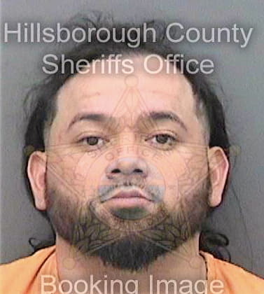 Coronagonzalez Henry - Hillsborough County, FL 