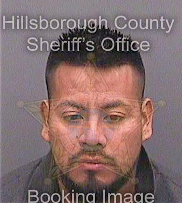 Lopezpedro Fermin - Hillsborough County, FL 