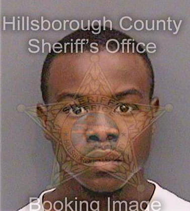 Oglesby George - Hillsborough County, FL 