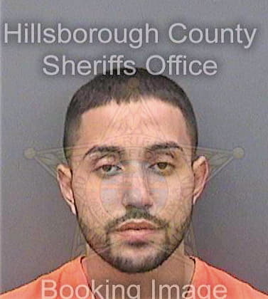 Borras Jose - Hillsborough County, FL 