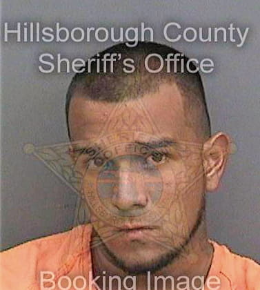 Gonzalez Jorge - Hillsborough County, FL 