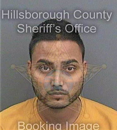 Patel Karan - Hillsborough County, FL 