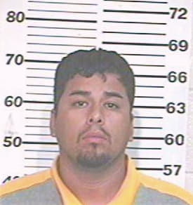 Hernandez Reynaldo - Hidalgo County, TX 