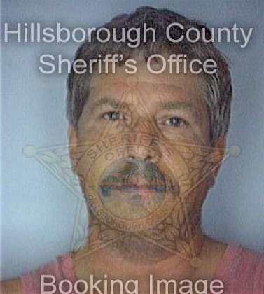 Medvic Robert - Hillsborough County, FL 