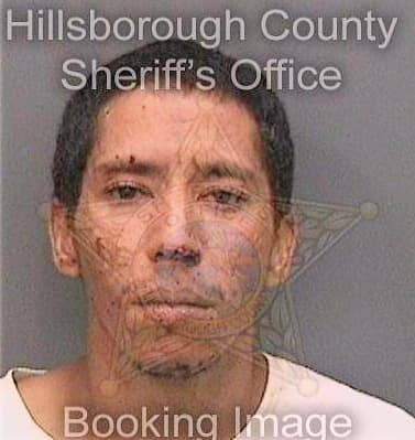 Ferrer Eberts - Hillsborough County, FL 