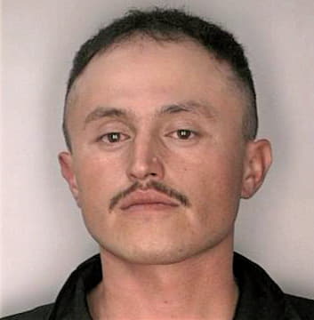 Mendoza Jose - Hillsborough County, FL 