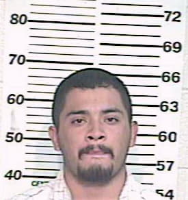 Hernandez Oscar - Hidalgo County, TX 