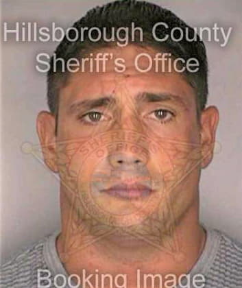 Mcintyre Stephen - Hillsborough County, FL 
