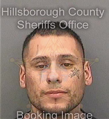 Deleon Danny - Hillsborough County, FL 