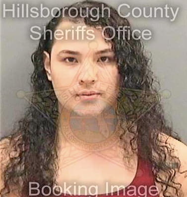 Sandoval-Gonzales Alejandro - Hillsborough County, FL 