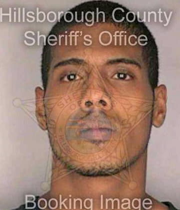 Mendoza Carlos - Hillsborough County, FL 