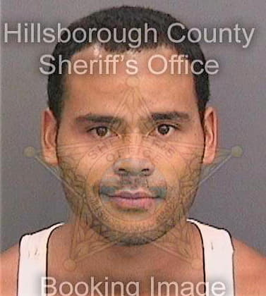 Correa Jose - Hillsborough County, FL 