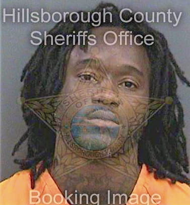 Levison Reginald - Hillsborough County, FL 