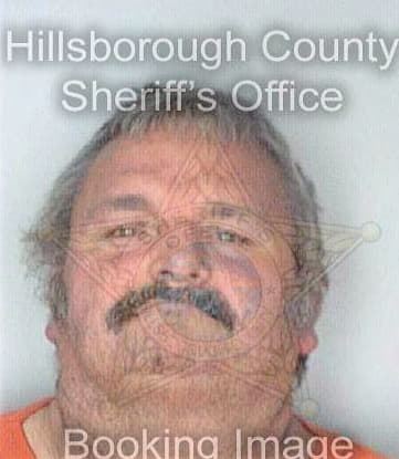 Bowman David - Hillsborough County, FL 