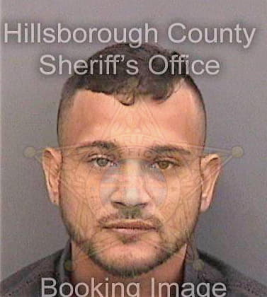 Marino Donizete - Hillsborough County, FL 