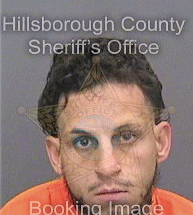 Vega Joshua - Hillsborough County, FL 