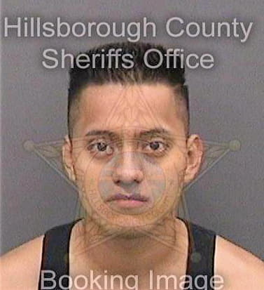 Ramosrodriguez German - Hillsborough County, FL 