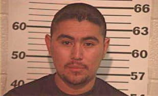 Gonzalez Luis - Hidalgo County, TX 