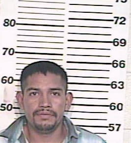 Romero Alvaro - Hidalgo County, TX 