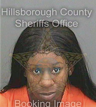 Ford Antenesha - Hillsborough County, FL 