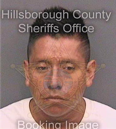 Godinezgarcia Hector - Hillsborough County, FL 