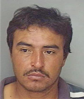 Garcia Antonio - Polk County, FL 