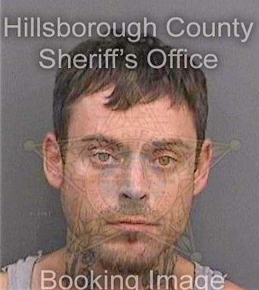 Baynard Michael - Hillsborough County, FL 