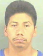 Roblero Margarito - Catoosa County, GA 